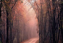 20-21賽季德甲聯賽第17輪比賽集錦.