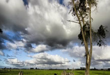 金年会体育:西媒:巴薩有意租借切爾西中場齊耶赫.