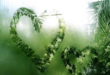 金年会:談中國女足開場丟球:身體素質差距擴大,傳控精準度仍無大幅提升!.